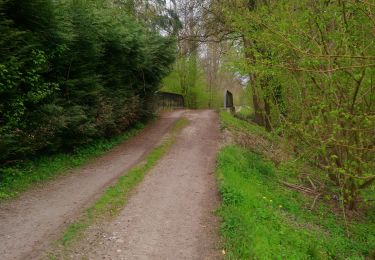 Percorso Marcia Colmar - Entre l'Ill et la forêt  - Photo