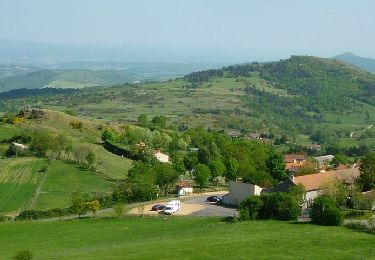 Trail Walking Cournols - Cournols_Olloix_St_Saturnin - Photo