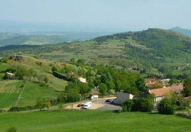 Percorso Marcia Cournols - Cournols_Olloix_St_Saturnin - Photo