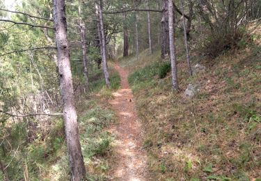 Trail Walking Sisteron - 05 mollard zel - Photo