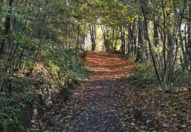 Excursión Senderismo Yvoir - GODINNE ... par le lieu-dit de 