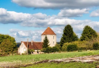 Tour Wandern Rémalard en Perche - Sur les pas du Conquérant 12,0 Km - Photo