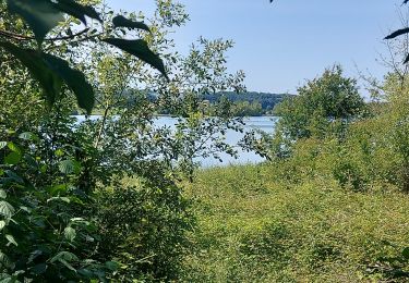 Tour Wandern Campuzan - 20240626 Puydarrieux - Photo