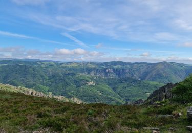 Trail Walking Rosis - Ourtigas rocandouire cassagnols - Photo