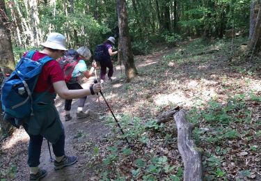 Trail Walking Souligny - Montaigu, BOUILLY - Photo