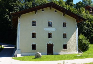 Excursión A pie Marktgemeinde Fieberbrunn - Fieberbrunn - Hochkogel - Photo