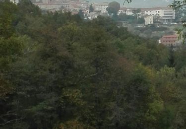 Trail Walking Pélussin - pélussin' 29 -10-2019 - Photo