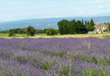 Tocht Stappen Clansayes - SityTrail - 2656269 - chantemerle-clansayes-15km - Photo