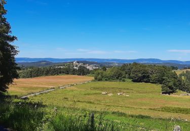 Tour Wandern Brion - la chaldette - termes - Photo