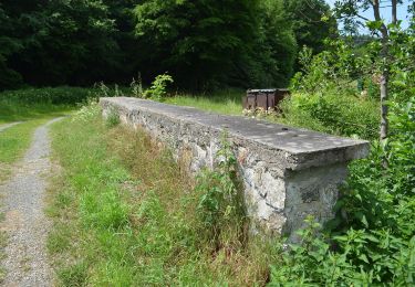 Percorso A piedi Schöffengrund - Wanderwege Niederquembach - Rehbock - Photo