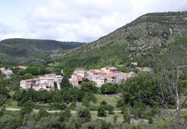 Tocht Stappen Blandas - Vissec / Moulin de la Foux - Photo