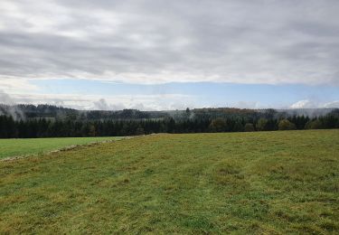 Tocht Stappen Houffalize - rando les colas 9/10/2020 - Photo