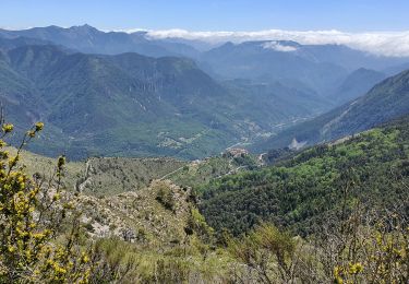 Trail Walking Bairols - BAIROLS - Photo