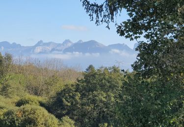 Tocht Stappen Menthonnex-en-Bornes - Tour du plateau des Bornes - Photo