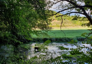 Tour Wandern La Cassagne - rivière de Coly - Photo