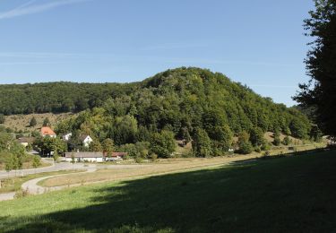 Randonnée A pied Pappenheim - Ortswanderweg Pappenheim - Photo