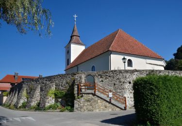 Percorso A piedi Gemeinde Michelbach - Michelbach Rundwanderweg - Photo