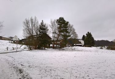 Tocht Te voet Michelstadt - Rundwanderweg Michelstadt Bremhof 4: Langstein-Weg - Photo