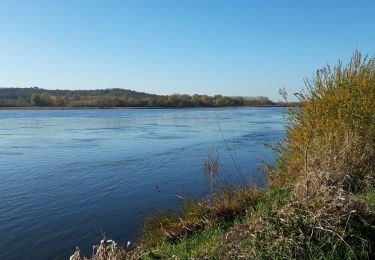 Trail Walking Loire-Authion - St Mathurin sur Loire  - Photo