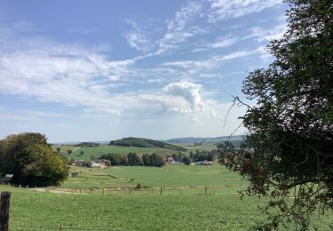 Trail Walking Burg-Reuland - Grufflngen - Photo