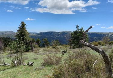 Tocht Stappen Andon - Lac de Thorenc - Photo