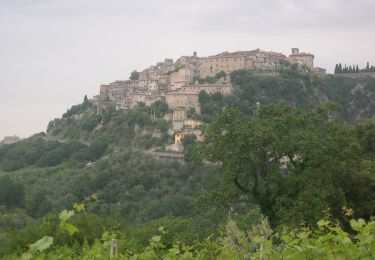 Randonnée A pied Calvi dell'Umbria - Calvi - San Benedetto - Montebuono - Photo