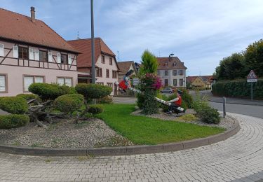 Trail Electric bike Erstein - vieux Rhin - Photo