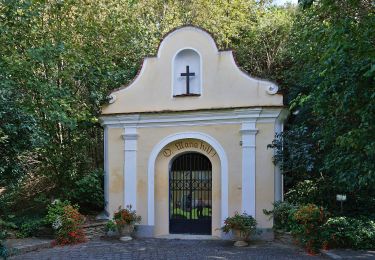 Tour Zu Fuß Gemeinde Sitzenberg-Reidling - Große Gemeinderunde - Photo