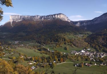 Tocht Stappen Entremont-le-Vieux - Epernay désert d'Entremont  - Photo