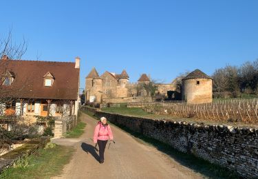 Randonnée Marche Germagny - Germant 09-02-2023 - Photo