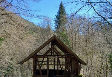 Trail Walking Saint-Louis - Haselbourg  - Photo