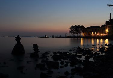 Tocht Te voet Garda - Monte Luppia - Photo