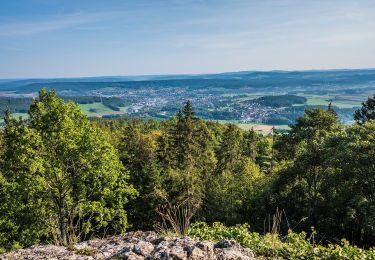 Trail On foot Weismain - Kordigast Berglauf - Photo