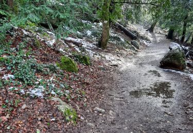 Tour Wandern Plan-d'Aups-Sainte-Baume - la source de la grotte  - Photo