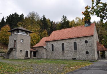 Tocht Te voet Flossenbürg - Schellenberg - Flossenbürg - Photo