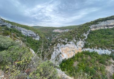 Percorso Marcia Monieux - Gorges de la Nesque - Photo