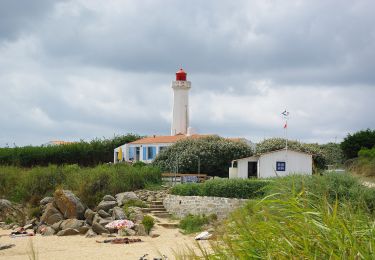 Tour Zu Fuß L'Île-d'Yeu - La Sente de Kreuzland - Photo