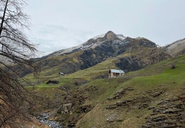 Trail Walking Saint-Étienne-de-Tinée - Baisse de Barel  - Photo