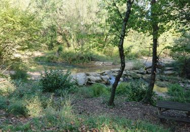 Randonnée Marche Flayosc - Le pont romain berne  - Photo