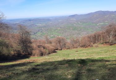 Excursión Senderismo Bramevaque - randonnée sur le Touroc depuis Bramevaque  - Photo