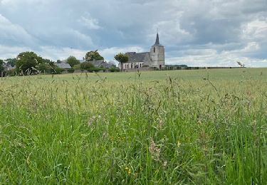 Randonnée Marche nordique Pendé - Pendé et ses champs - Photo