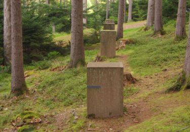 Tocht Te voet Urmatt - Géants du Nideck MF Petit Wisches - Photo