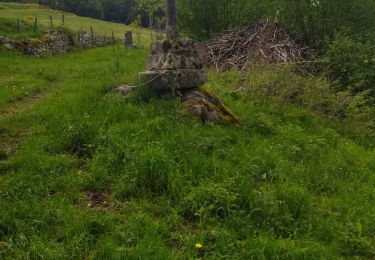 Randonnée Marche Saint-Chély-d'Aubrac - st chely st urcize - Photo