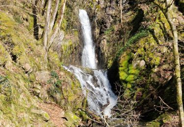 Excursión Senderismo Lapleau - Cascade de Neyrat - Photo
