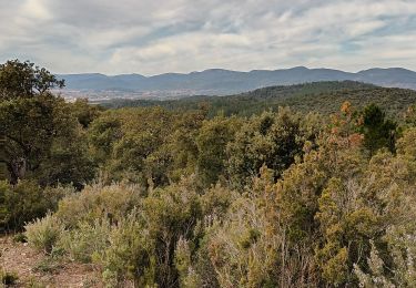 Randonnée Marche Pierrefeu-du-Var - cabane des gardes-Pierrefeu-25-02-22 - Photo