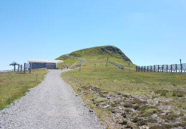 Randonnée Marche Albepierre-Bredons - Le Plomb du Cantal depuis Prat-De-Bouc - Photo