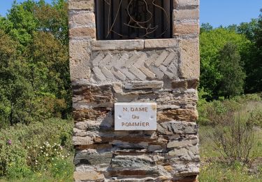 Tocht Stappen Les Arcs-sur-Argens - pont d aille - Photo