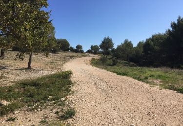 Tocht Stappen Vernègues - PF-Vernègues - Sentier de la nature - Photo