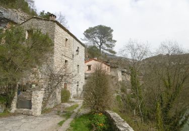 Trail Walking Saint-Maurice-Navacelles - Vallée de la Vis, moulins de la Foux en boucle - Photo