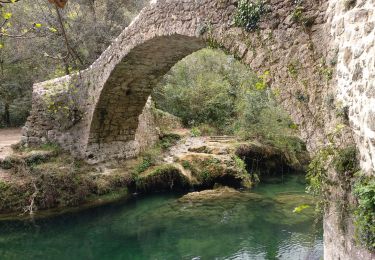 Trail Walking Saint-Cézaire-sur-Siagne - autour du village  - Photo